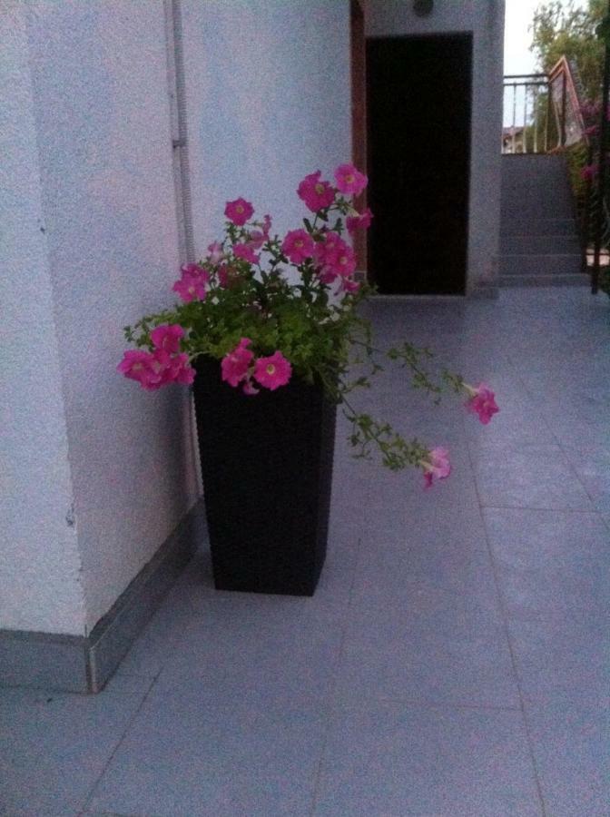 Apartmani Jadranka Vodice Ngoại thất bức ảnh